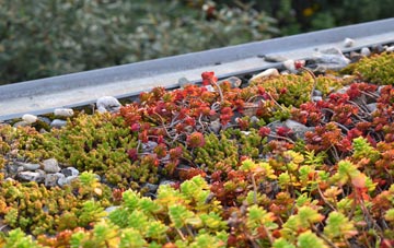 the cost of Rhodes green roof installation