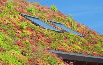 Rhodes living roof systems