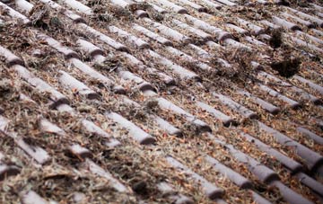 Rhodes roof cleaning companies